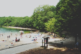 The Beach at Walden Pond