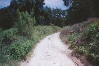 Walking Path
